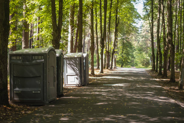 Best Portable bathroom rental  in Rio Rico, AZ